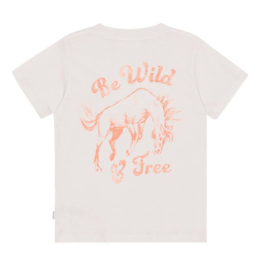 Pige 2-16 Ar Molo | Road - Be Wild And Free